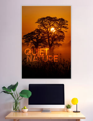 Misty orange sunset with tree silhouettes and quiet nature text