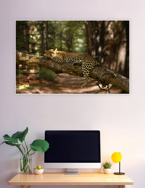 A majestic leopard resting on a large tree branch in a lush green forest, showcasing its golden spotted coat in a serene wildlife poster