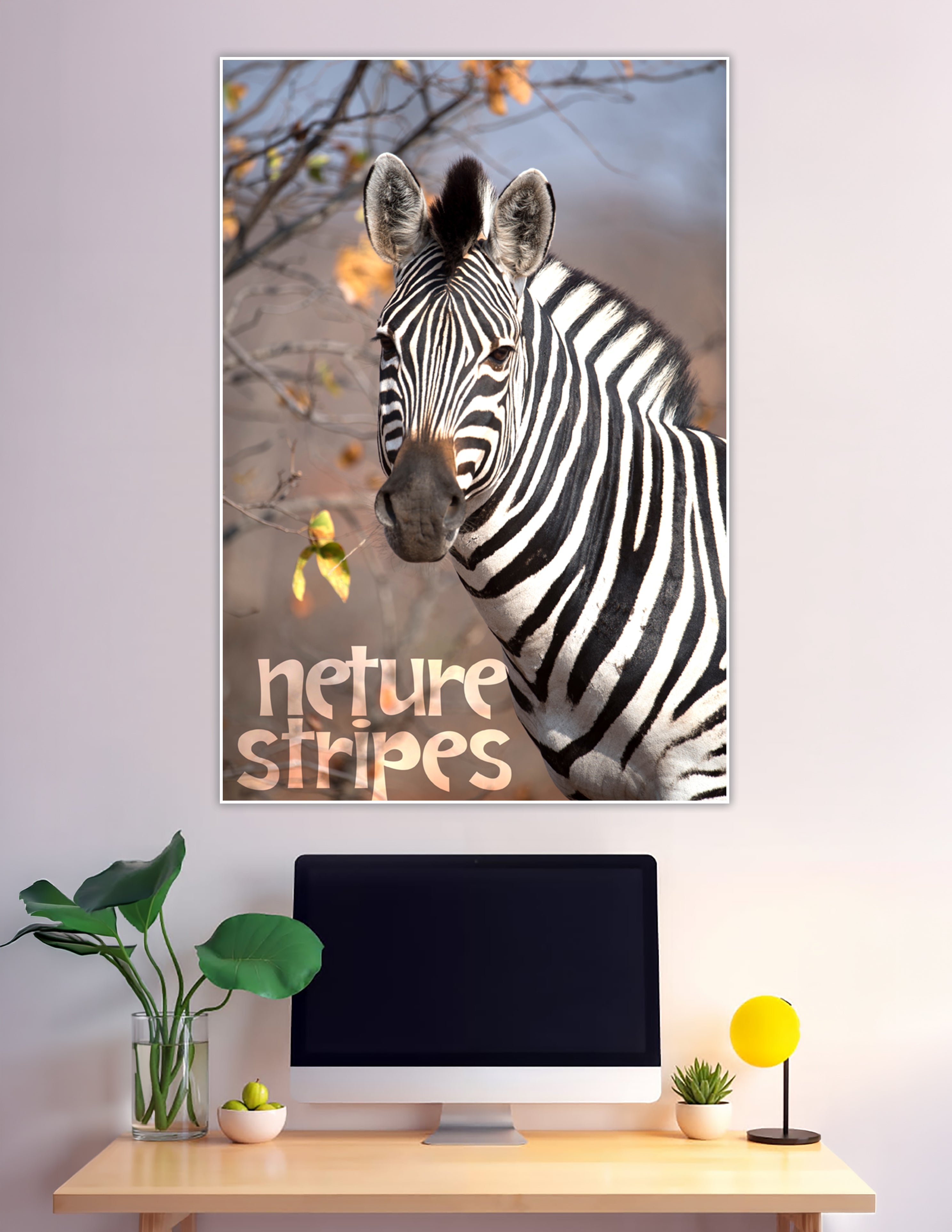 Close-up zebra portrait with autumn safari background