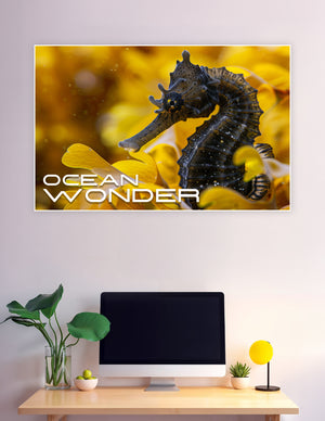 Close-up macro photograph of a dark seahorse clinging to golden yellow seaweed underwater, with 'Ocean Wonder' text overlay