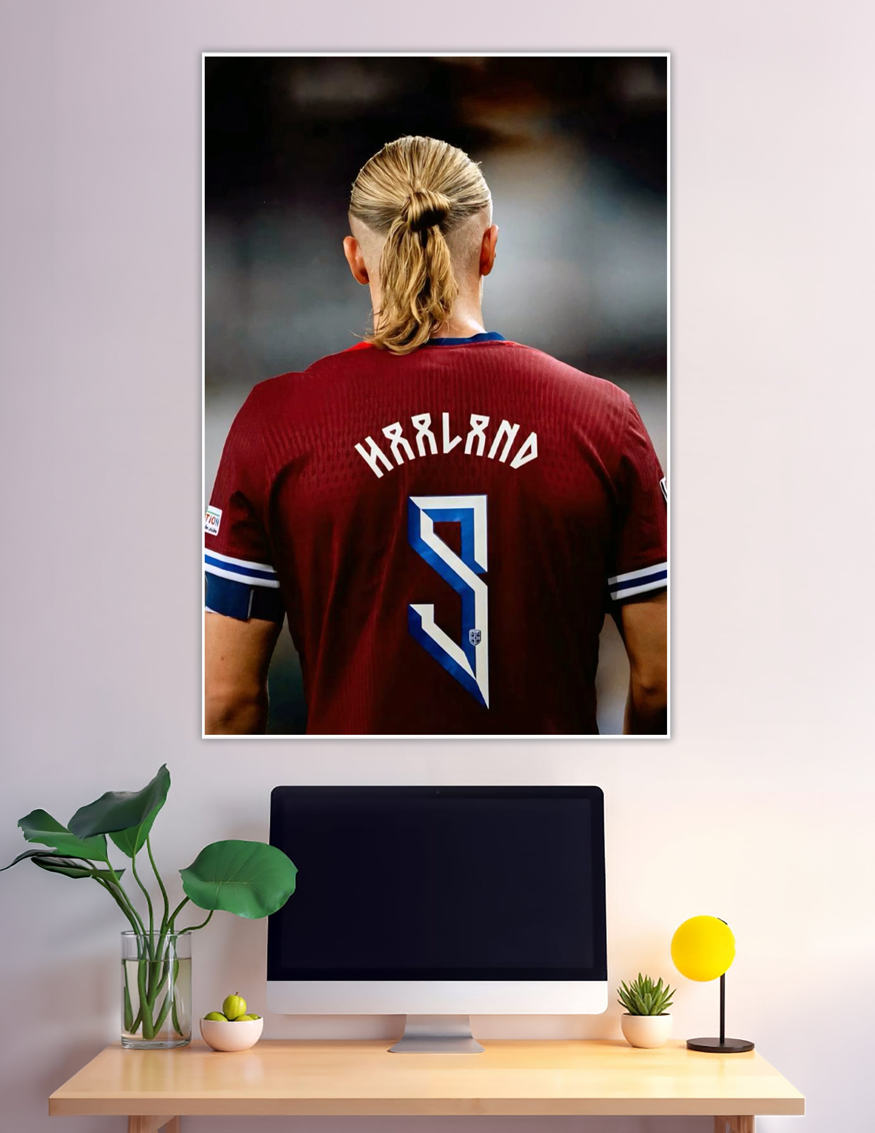 Erling Haaland Norway red jersey number 9 back view